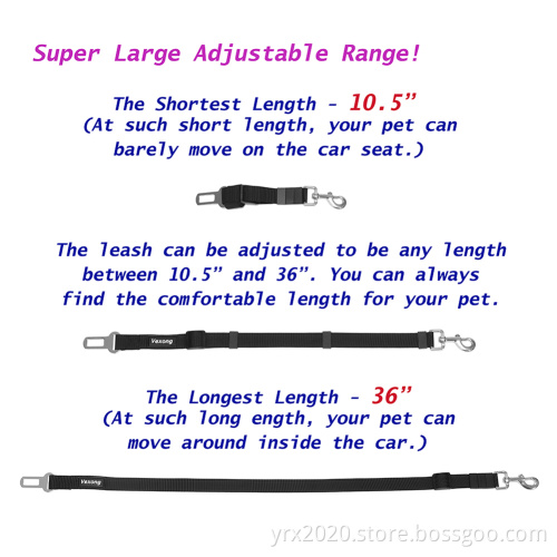 Car Seatbelt Dog Leash Black